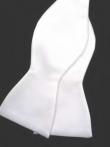 Matching Wedding Ties and Hankie Matching Wedding Ties and Hankie